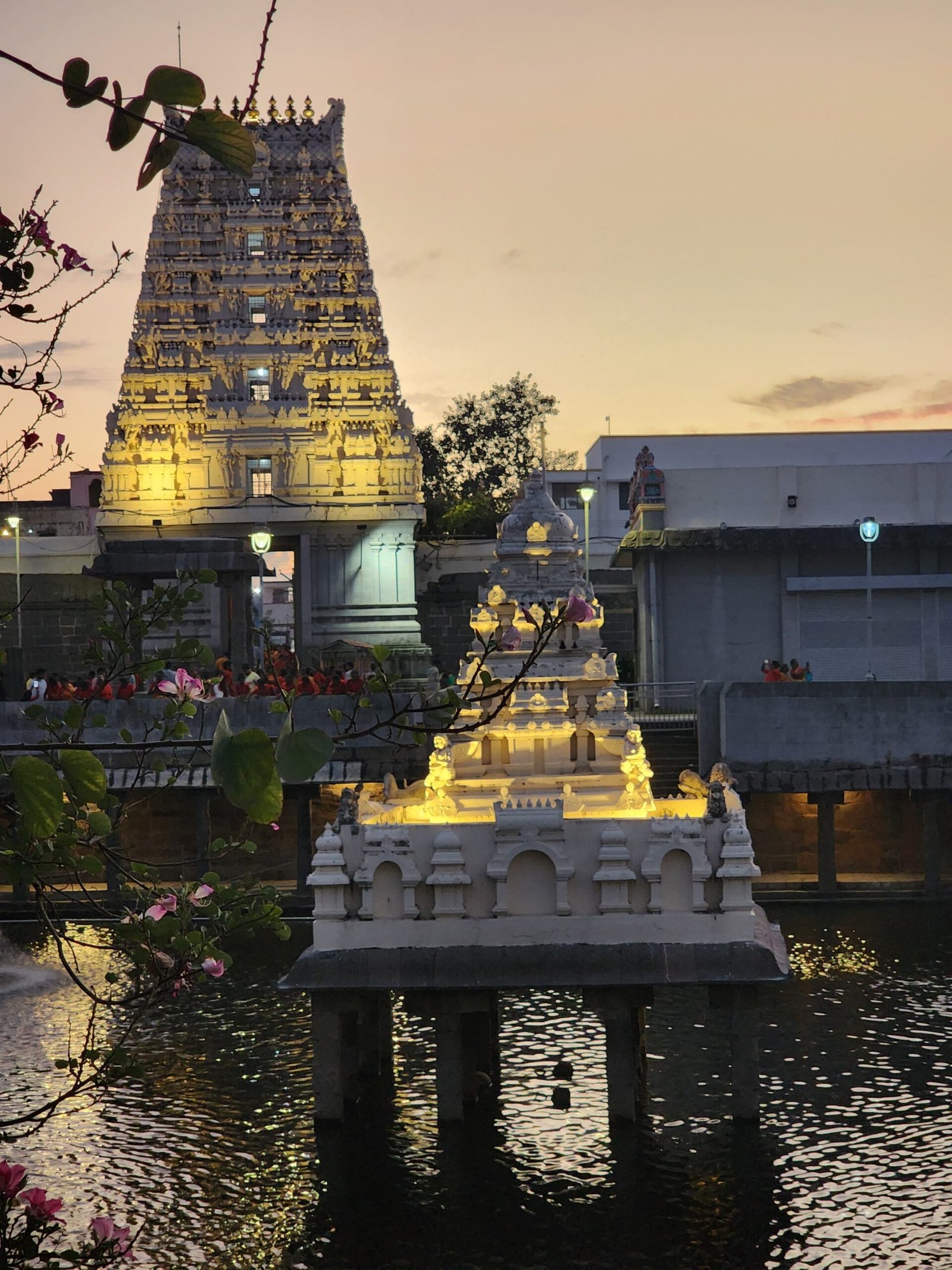 Imagen de WhatsApp 2025-01-17 a las 11.39.16_401ce5c2