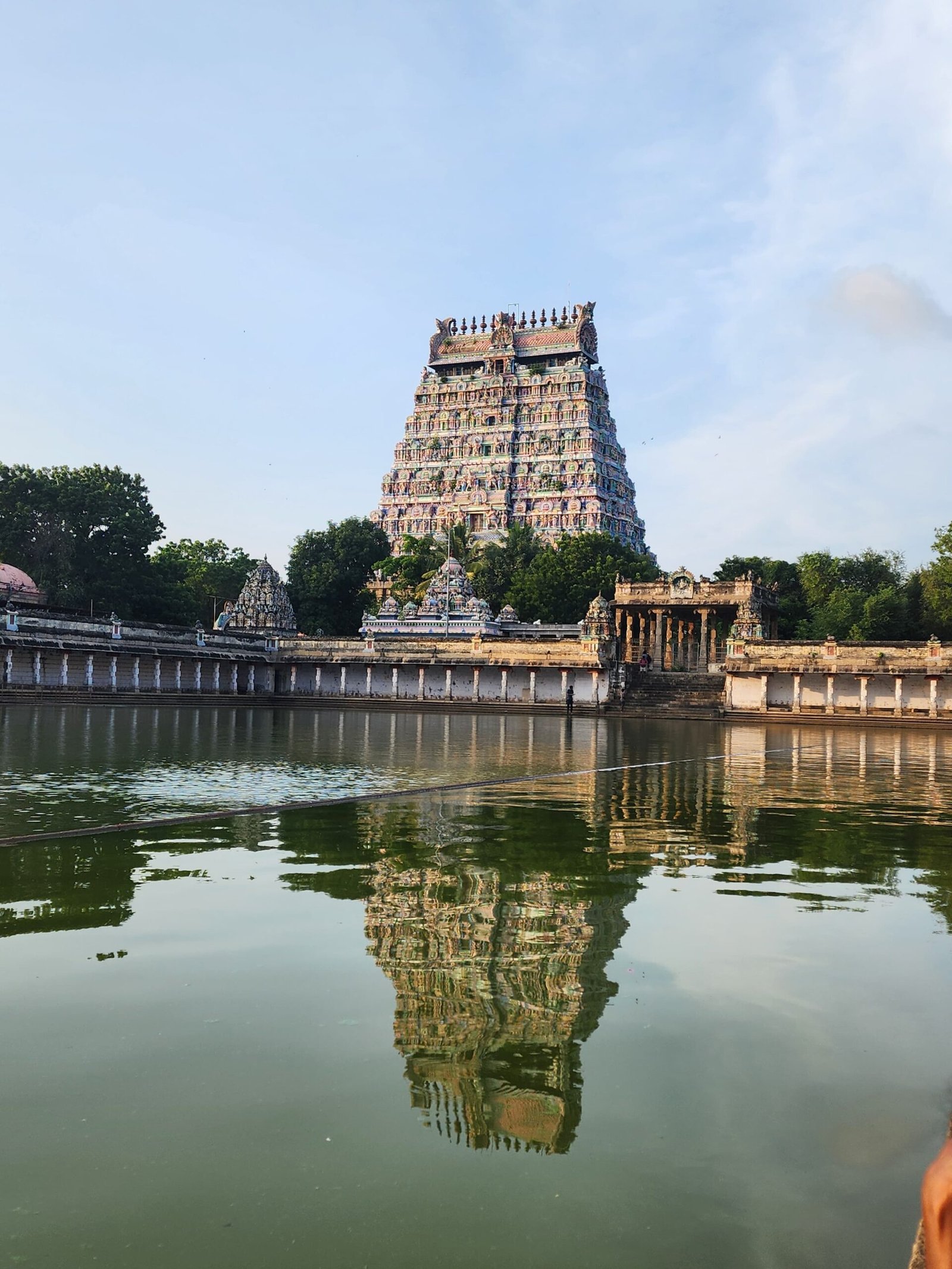 Imagen de WhatsApp 2025-01-17 a las 11.41.47_cff645a9