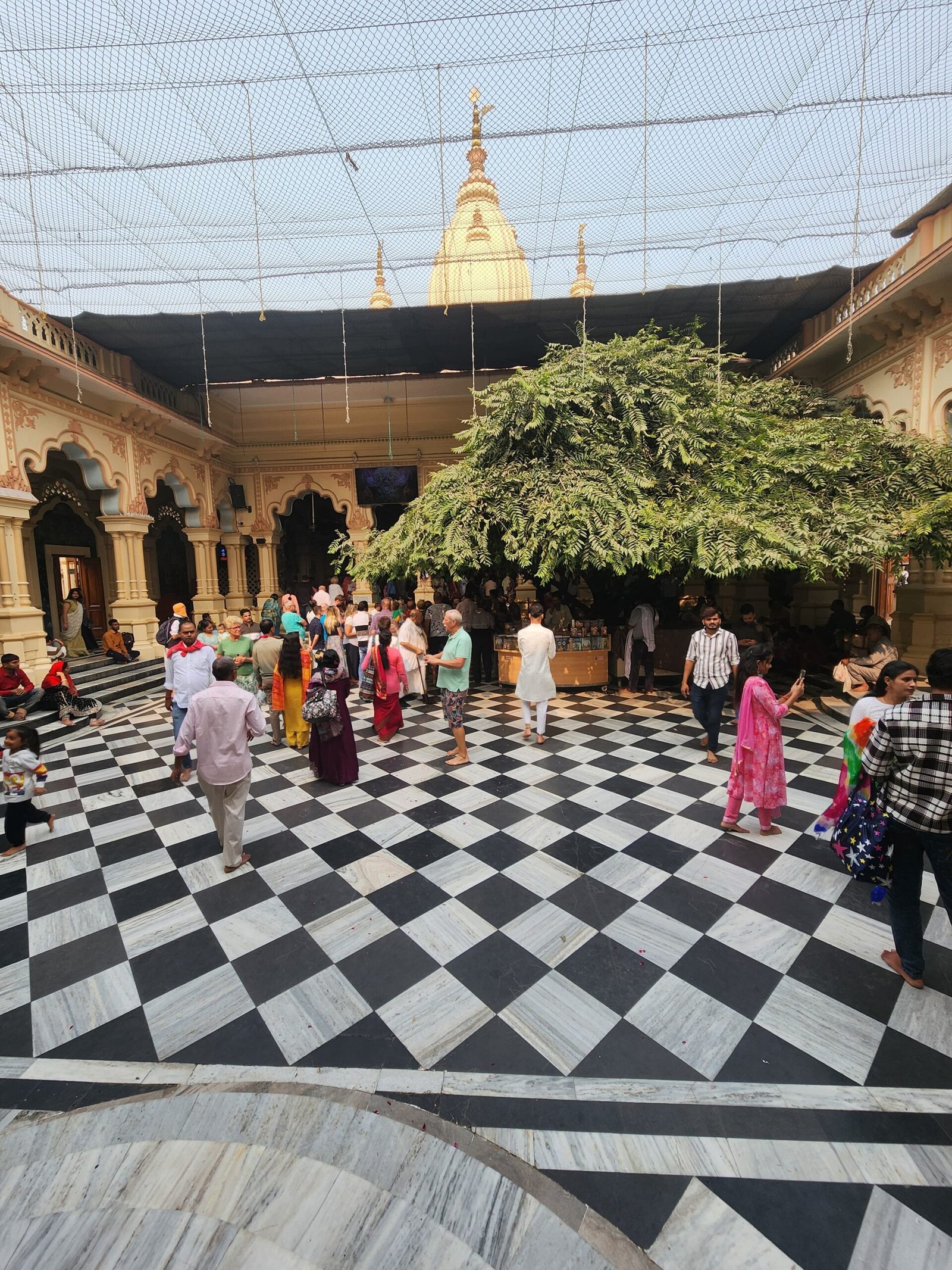 Imagen de WhatsApp 2025-01-17 a las 11.41.48_3159b5bc