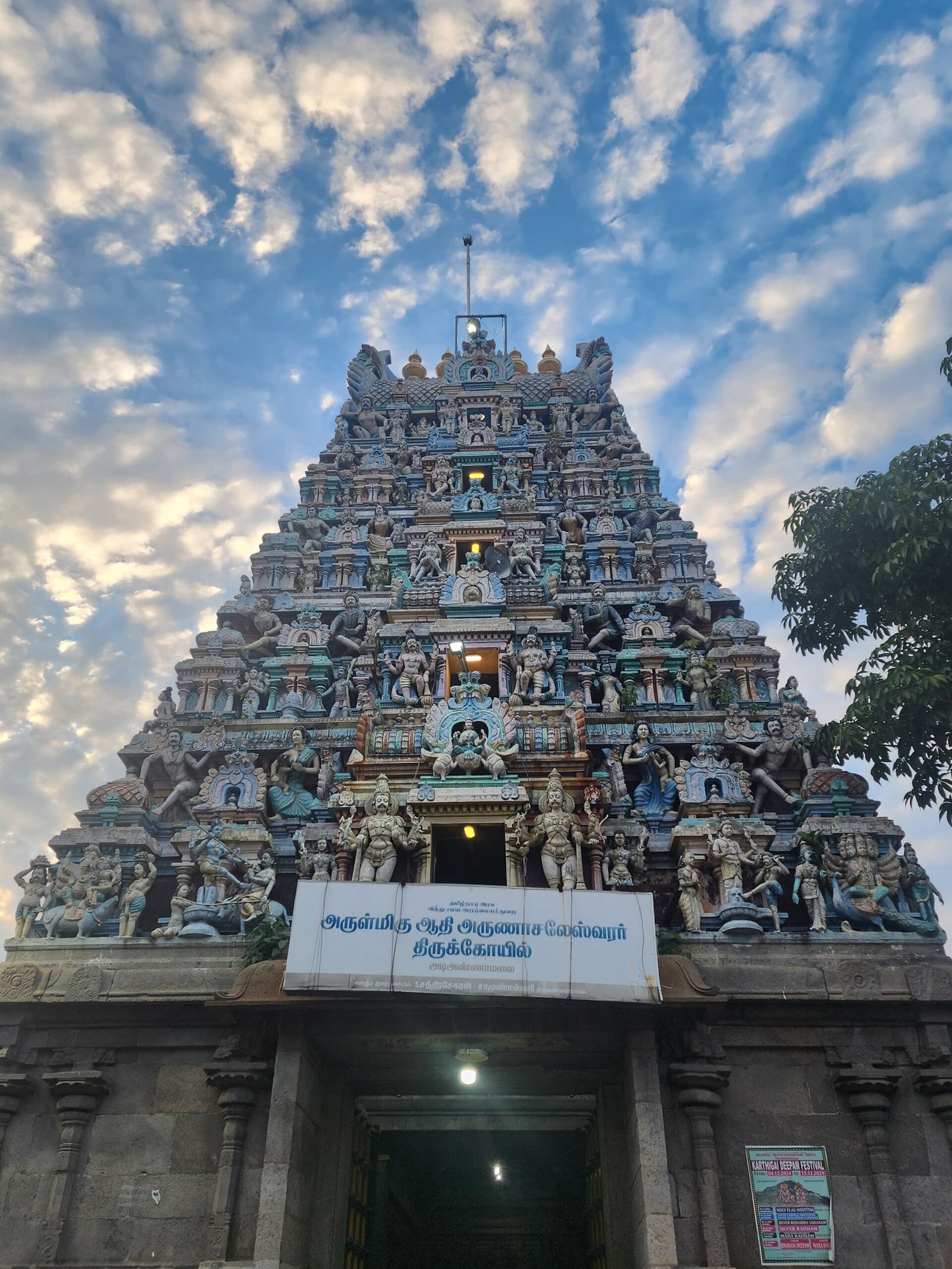 Imagen de WhatsApp 2025-01-17 a las 11.43.19_fa6fb834